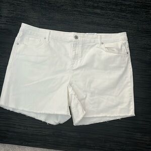 NWT white jean shorts